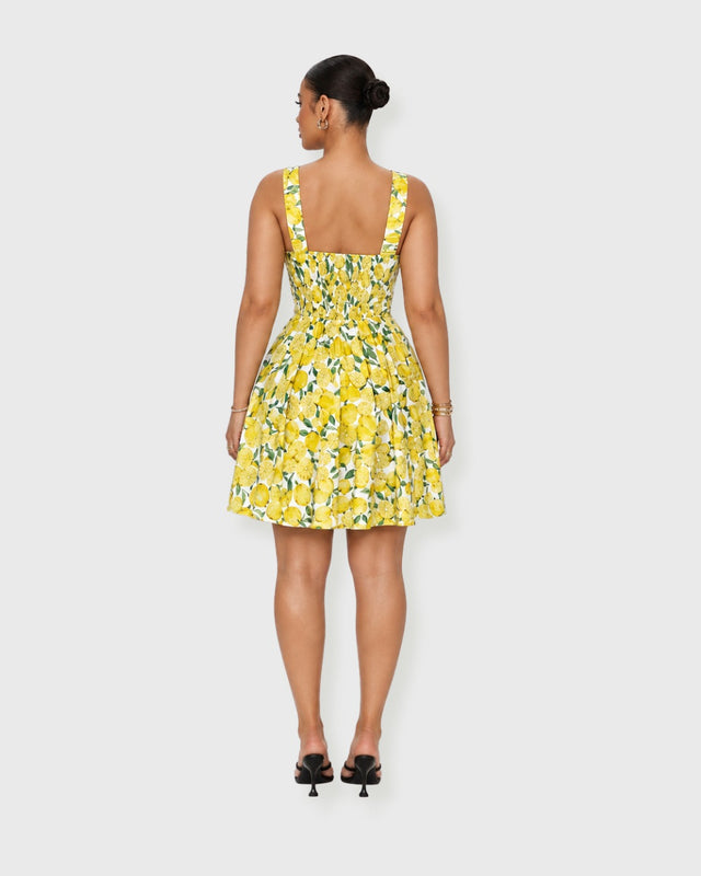 LEMON GROVE SKATER MINI DRESS - vista posterior