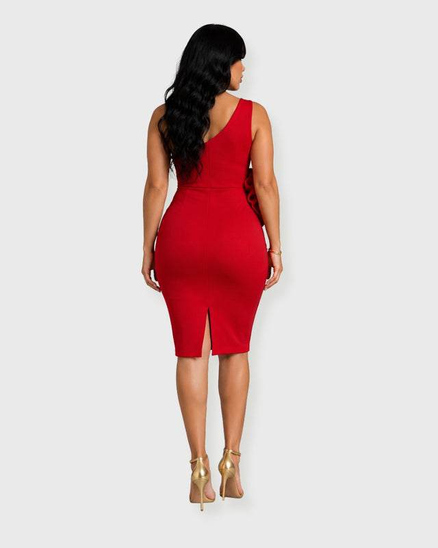 FLORENCE BLOOM MINI DRESS - vista posterior